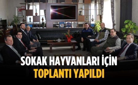 Sokak hayvanları için toplantı yapıldı