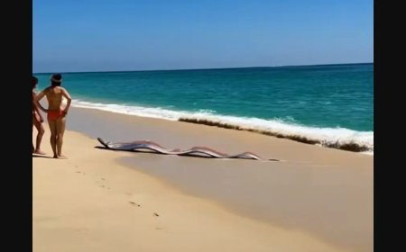 Efsane tekrar gündemde: İki “kıyamet balığı” birden sahile vurdu