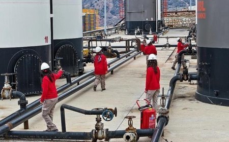 Gabar'da Türkiye'nin enerjisine güç katan kadınlar 8 Mart'ta da görev başında