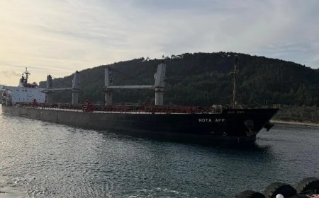 Çanakkale Boğazı'nda gemi karaya oturdu