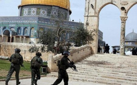 Türkiye'nin de aralarında bulunduğu 8 ülkeden İsrail'e kınama mesajı