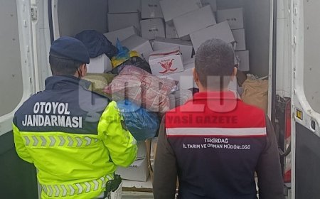 Tekirdağ'da 2 ton baklavaya hazır antepfıstığı imha edildi