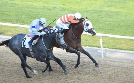 İzmir'de 64'üncü Hipodrom.com Ege Derbisi'nin kazananı The Protecter!