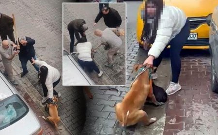 Pitbull dehşeti sonrası yeni görüntüler! Köpek sahibi müdahaleye engel oldu