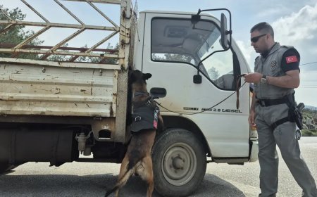 Bayram tatili başlıyor. O ilçeye bir günde 25 bin araç girdi