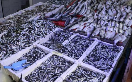 Ramazan ayı ve bayramda balık satışları düştü