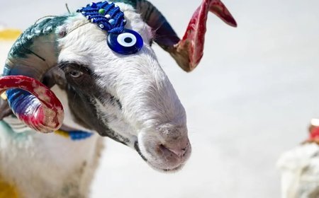 Kurban Bayramı ne zaman, bayram tatili 9 gün mü olacak? 2026 Kurban Bayramı takvimi