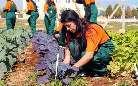 Çukurova’da geleceğin ziraatçileri tarım lisesinde yetişiyor