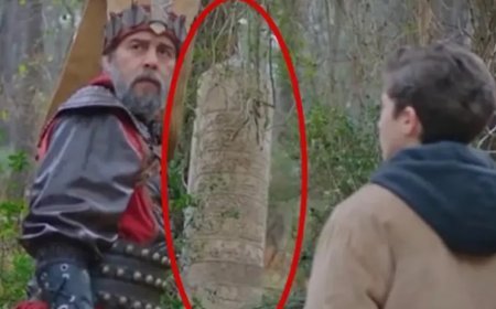 Dizi dekoru tescilli tarihi eser oldu. Hakemli dergide makale yazıldı