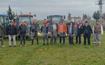 Merada gübreleme çalışması yapıldı