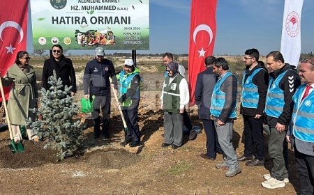 Kırklareli'nde 3 bin 750 fidan dikildi
