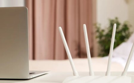 Sabit internette e-Devlet dönemi