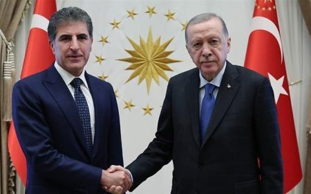 Cumhurbaşkanı Erdoğan, Irak Kürt Bölgesel Yönetimi Başkanı Neçirvan Barzani ile görüştü