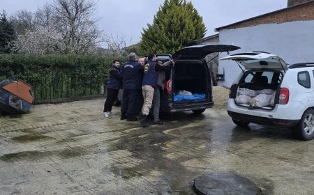 İstanbul'da at eti operasyonu. Silivri'de 306 kilogram ele geçirildi