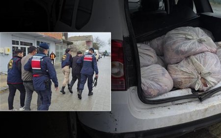 Yakalanmasalardı vatandaşa yedireceklerdi! İstanbul’da kilolarca at eti ele geçirildi