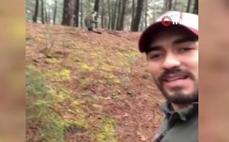 Ormanda mantar ararken hayatının sürpriziyle karşılaştı! Herkesi peşine taktı