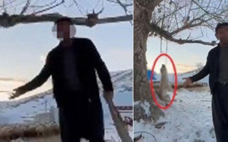 Akılalmaz olay! Çok fazla yediği için köpeğini asarak öldürdü