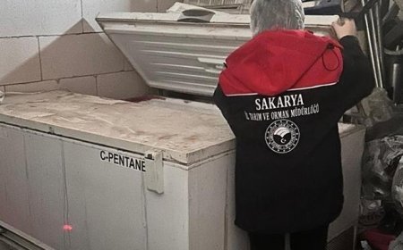 Adapazarı'nda 200 kilo tarihi geçmiş tavuk eti ele geçirildi