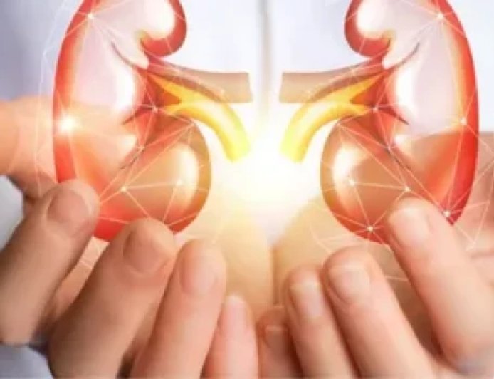 ÇERKEZKÖY İLÇE SAĞLIK MÜDÜRLÜĞÜ BÖBREK SAĞLIĞINA DİKKAT ÇEKTİ