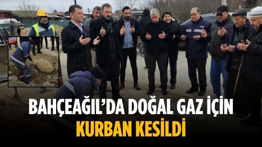 Bahçeağıl’da doğal gaz için kurban kesildi