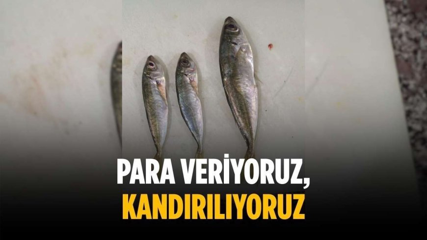 “Para veriyoruz, kandırılıyoruz”