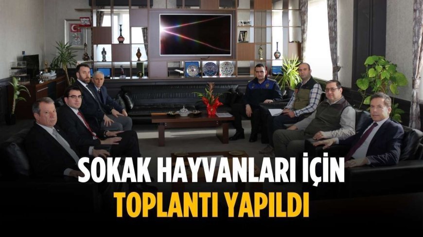 Sokak hayvanları için toplantı yapıldı