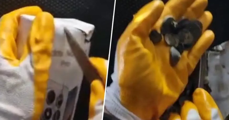 Gümrükte operasyon. Türkiye'den kaçırılmak üzereyken yakalandı