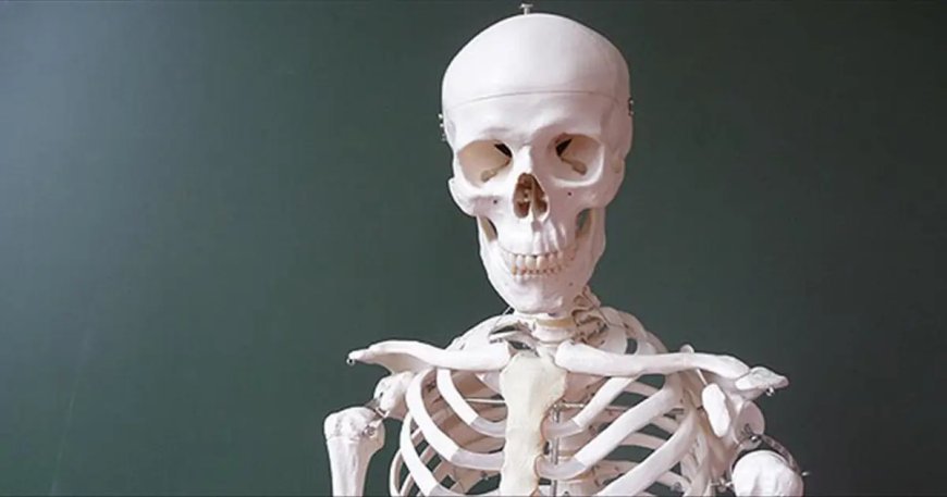 İklim krizi kemiklerimizi eritiyor: Atmosferdeki karbondioksit artışı iskelet sistemini zayıflatıyor