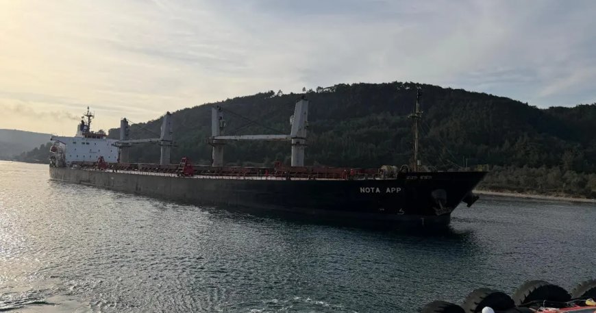 Çanakkale Boğazı'nda gemi karaya oturdu