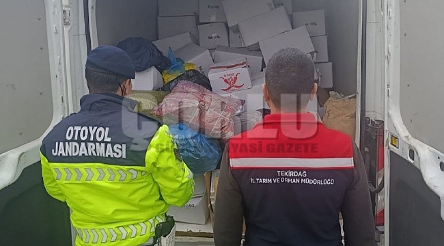 Tekirdağ'da 2 ton baklavaya hazır antepfıstığı imha edildi