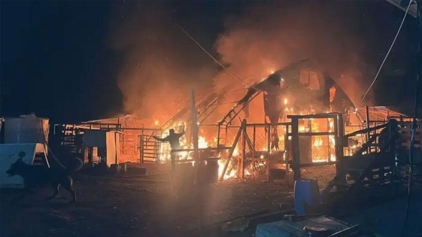 Bursa'daki çiftlikte feci yangın! 580 hayvan öldü