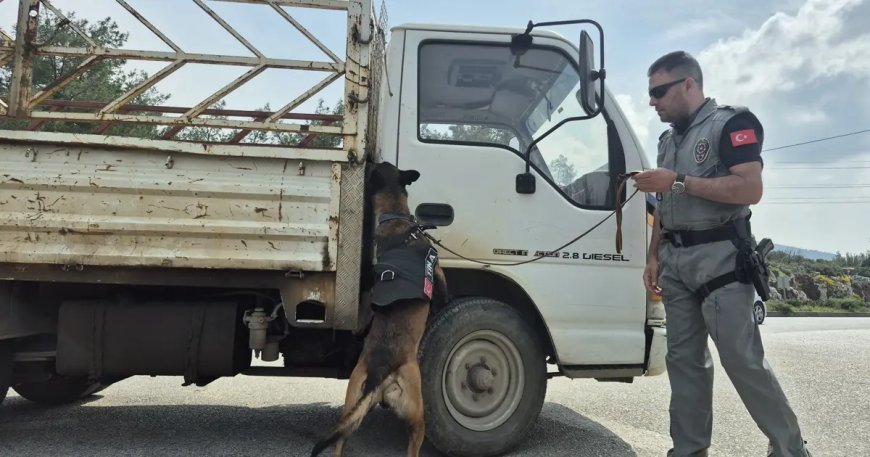 Bayram tatili başlıyor. O ilçeye bir günde 25 bin araç girdi