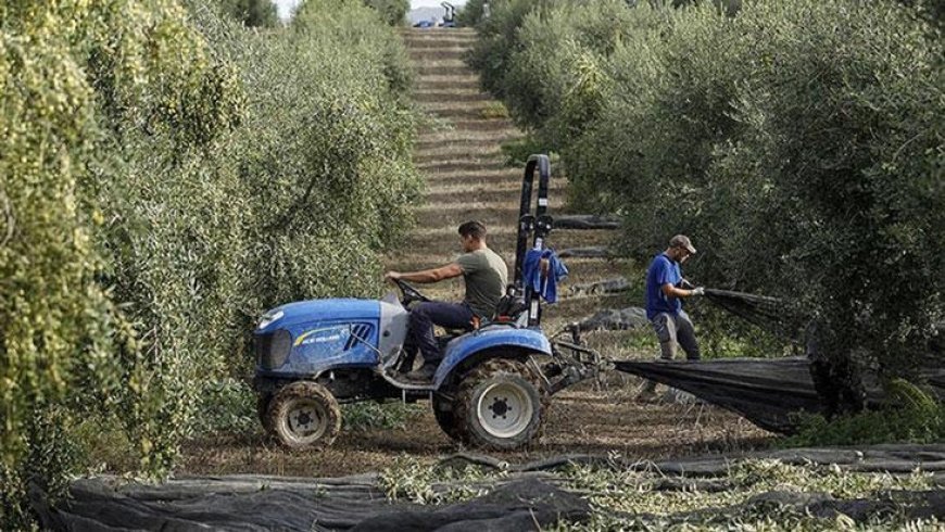 İspanya, çatışmaların etkilerine tedbir olarak tarım ve hayvancılığı destekleyecek