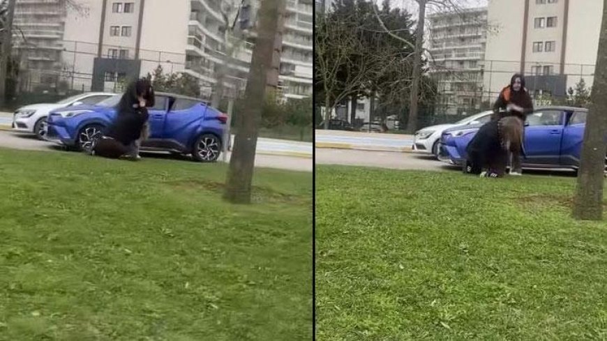 Yer: Pendik! 'Ejderha Kadınlar'ın kavgası sosyal medyada olay oldu