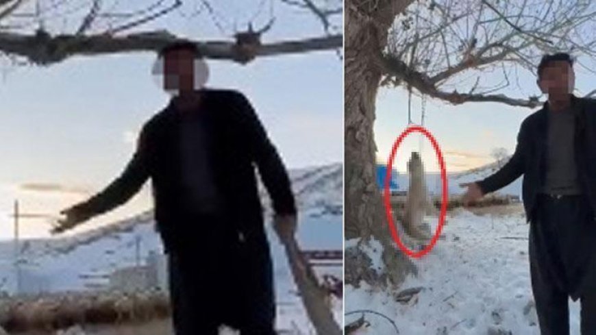 Akılalmaz olay! Çok fazla yediği için köpeğini asarak öldürdü