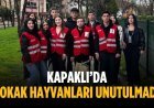 Kapaklı’da sokak hayvanları unutulmadı