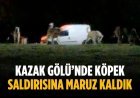 “Kazak Gölü’nde köpek saldırısına maruz kaldık”