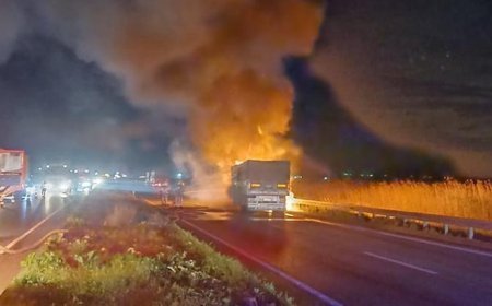 Bursa'da buğday yüklü TIR alev alev yandı