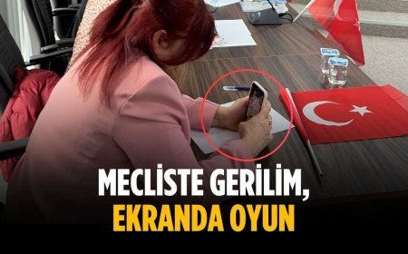 Mecliste gerilim, ekranda oyun