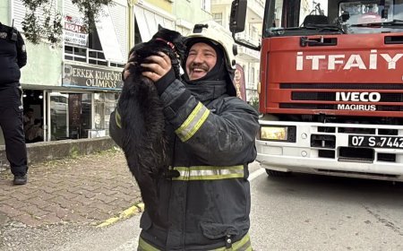İtfaiye eri kalp masajıyla kediyi yaşama bağladı