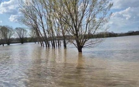 Edirne’de şiddetli yağmur: Meriç Nehri taştı, sular yollara ulaştı