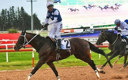 Adana’da Akdeniz Derbisi’nin kazananı ‘Dapper Man’ oldu