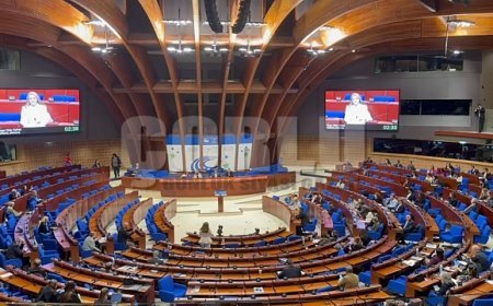 TÜRKİYE’MİZİN VE ERGENE’MİZİN SESİNİ AVRUPA’DA YÜKSELTTİK!