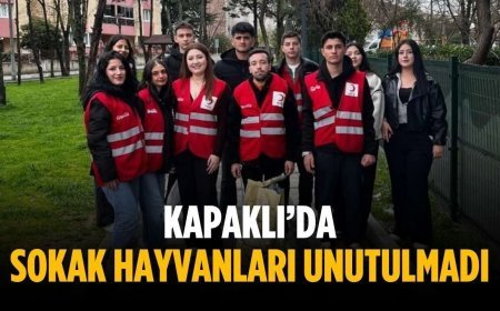 Kapaklı’da sokak hayvanları unutulmadı