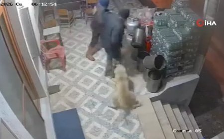 Manisa'da korkunç olay: Köpekler parmağını kopardı!