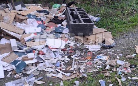 ÇORLU’NUN AZ SAYIDA KALAN AĞAÇLIK ALANLARINDAN BİRİ ÇÖPLÜĞE ÇEVRİLDİ