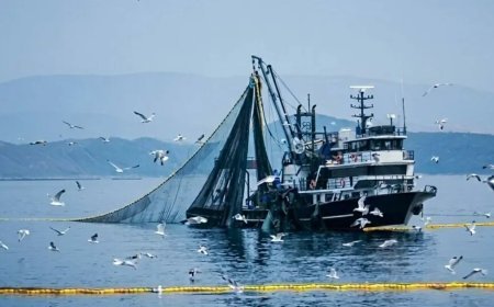 Denizlerde av yasağı 15 Nisan'da başlıyor