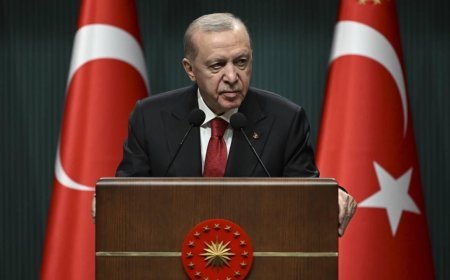 Son dakika... Cumhurbaşkanı Erdoğan, Macaristan'ın yeni Başbakanı Magyar ile görüştü