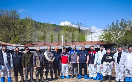 Tekirdağ'da ithal damızlık hayvanlar için sıkı sağlık denetimi