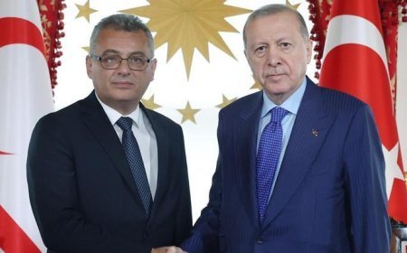 Cumhurbaşkanı Erdoğan, Kuzey Kıbrıs Türk Cumhuriyeti Cumhurbaşkanı Tufan Erhürman ile görüştü